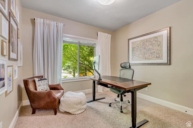 4224 W Park Dr, Highland, UT 84003 - photo 9