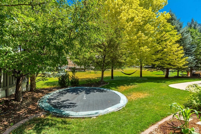 4224 W Park Dr, Highland, UT 84003 - photo 53