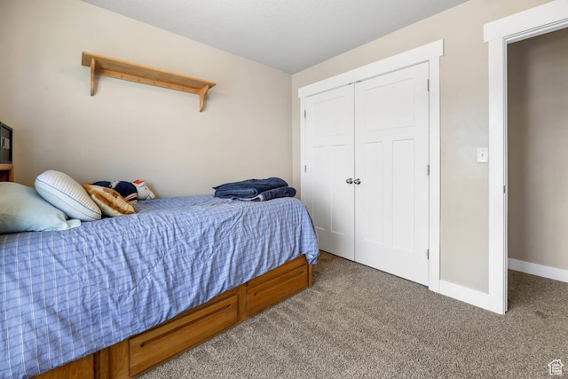 3973 E Eagle Top Ct, Eagle Mountain, UT 84005 - bedroom with carpet and a closet
