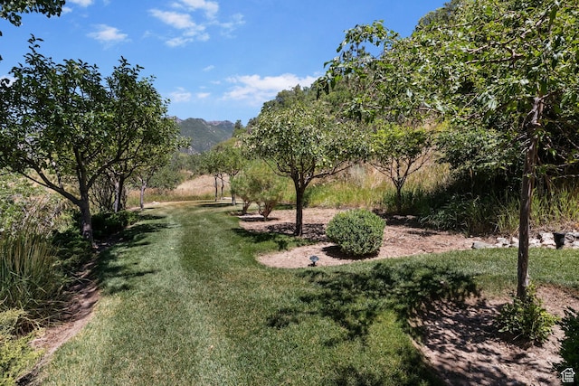 7980 S 2800 E, South Weber, UT 84405 - photo 67