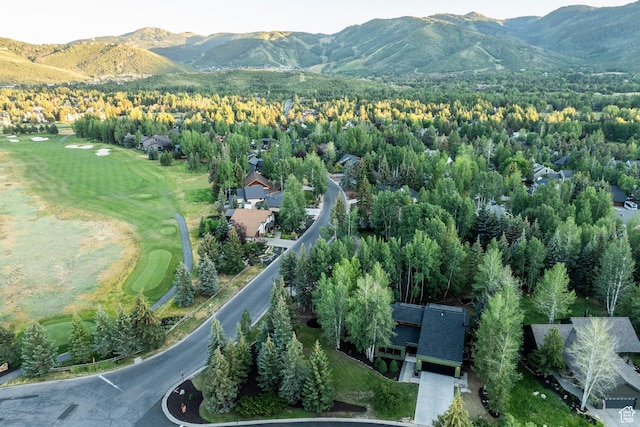 3021 American Saddler Dr, Park City, UT 84060 - photo 14