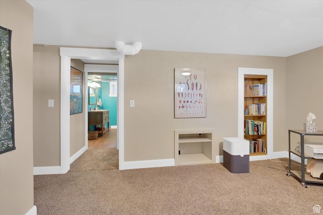 155 W 500 N, Logan, UT 84321 - sitting room with carpet floors and built in shelves