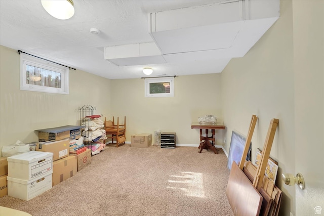 155 W 500 N, Logan, UT 84321 - below grade area with carpet
