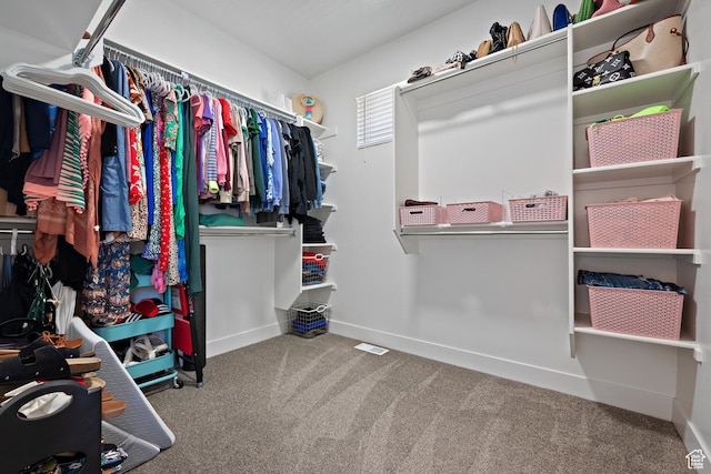 3056 E 80 S, Spanish Fork, UT 84660 - spacious closet with carpet