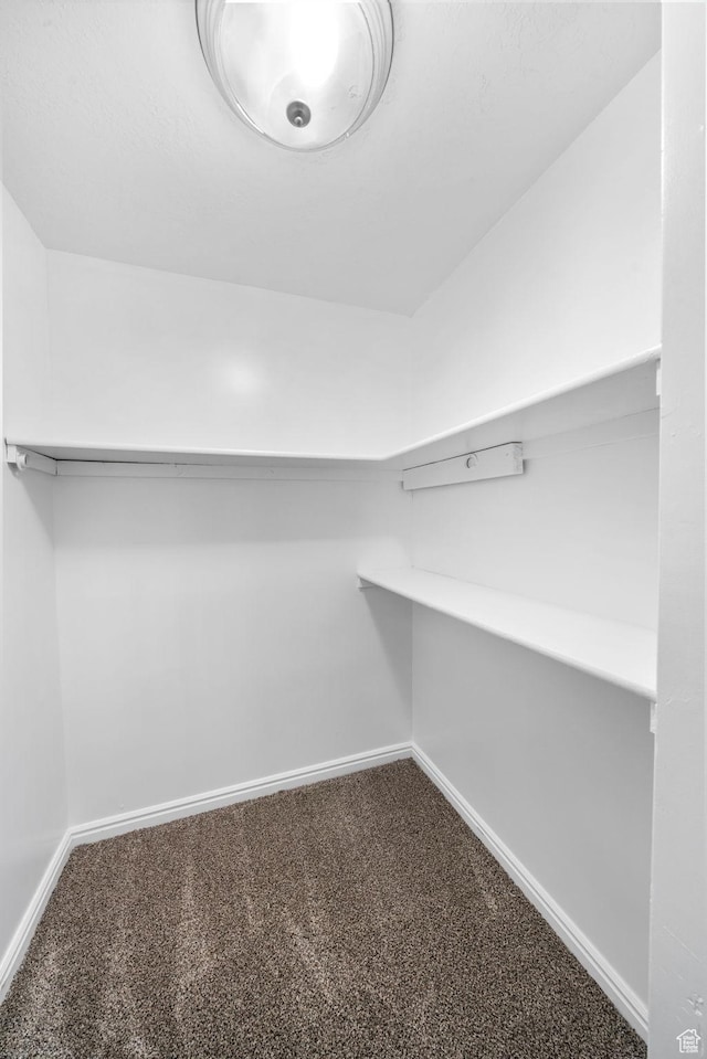 5608 S 700 W, Murray, UT 84123 - walk in closet with carpet flooring