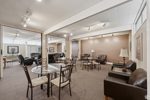 750 E Three Fountains Dr Unit 96, Murray, UT 84107 - dining space with rail lighting and carpet flooring