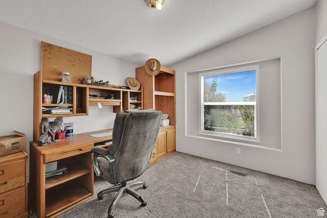 4171 W 2425 N, Hooper Davis Cnty, UT 84315 - office with lofted ceiling, light colored carpet, and a textured ceiling
