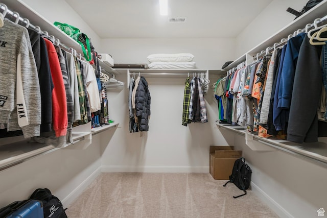 5336 W 3180 S, Hurricane, UT 84737 - walk in closet with carpet