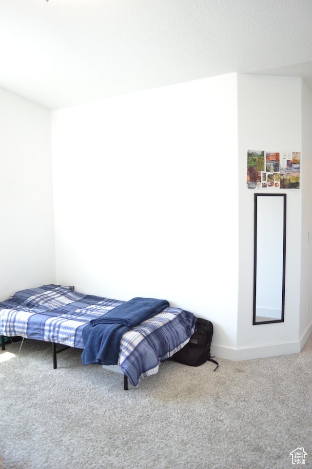680 N 380 W Unit Z303, Vineyard, UT 84059 - carpeted bedroom featuring baseboards