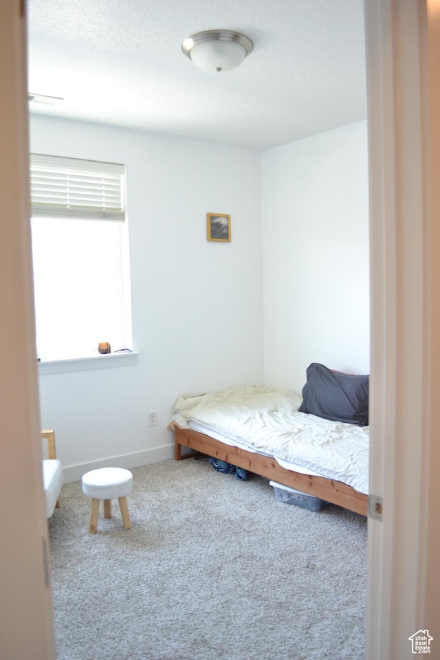 680 N 380 W Unit Z303, Vineyard, UT 84059 - carpeted bedroom with baseboards