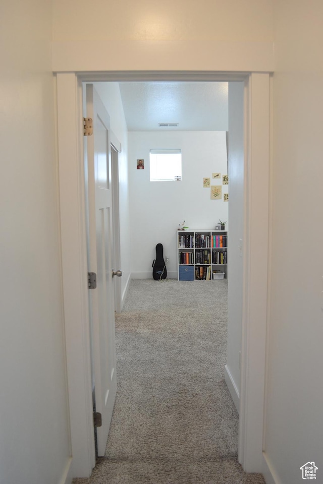 680 N 380 W Unit Z303, Vineyard, UT 84059 - corridor with carpet and baseboards