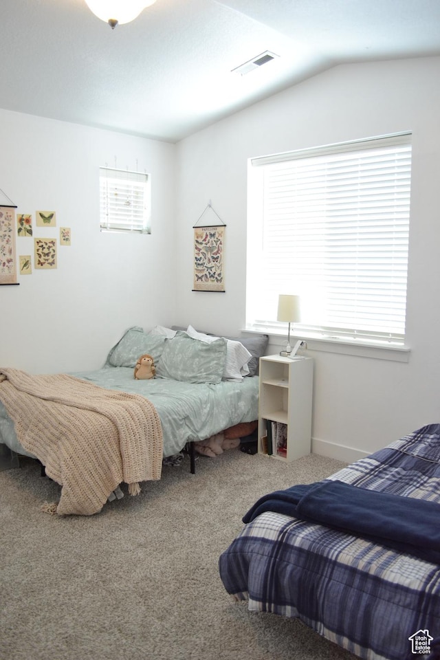 680 N 380 W Unit Z303, Vineyard, UT 84059 - bedroom with carpet and lofted ceiling