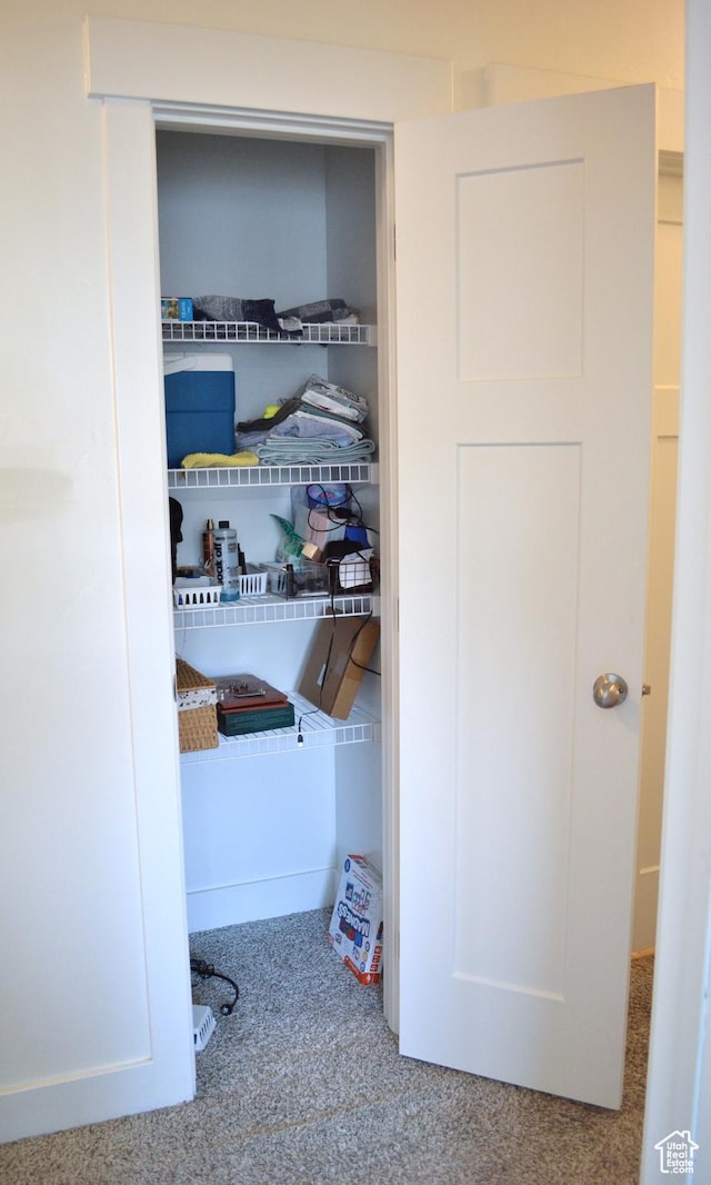 680 N 380 W Unit Z303, Vineyard, UT 84059 - view of closet