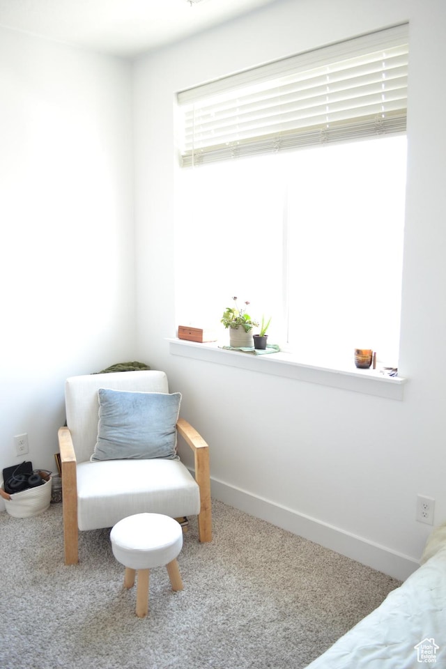 680 N 380 W Unit Z303, Vineyard, UT 84059 - bedroom featuring carpet flooring and baseboards