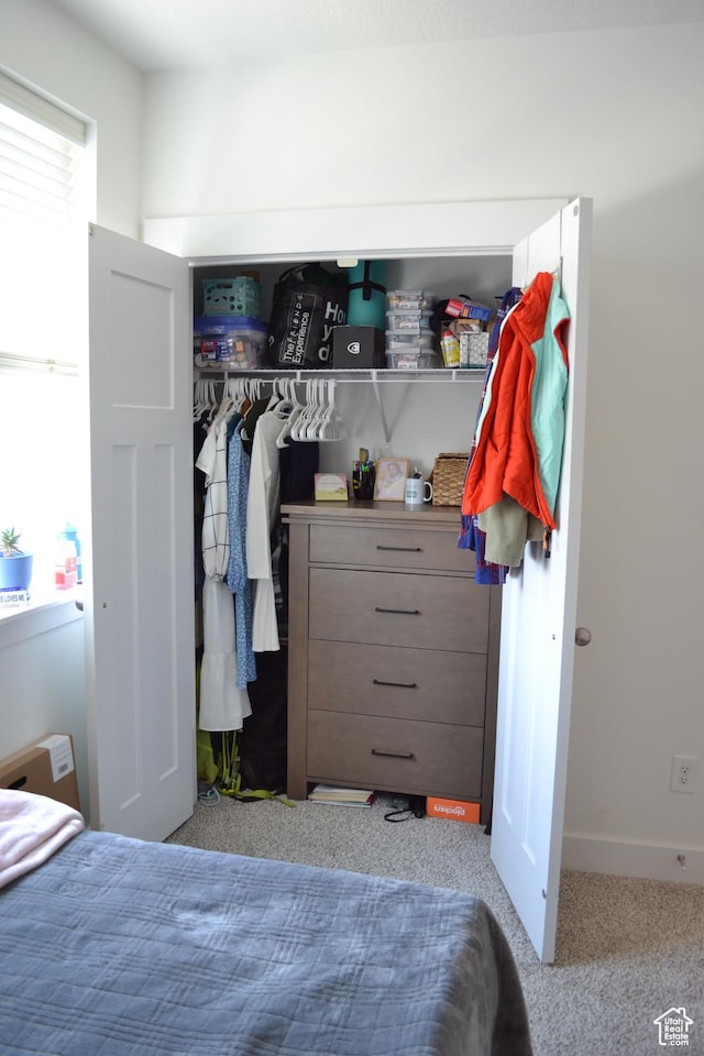 680 N 380 W Unit Z303, Vineyard, UT 84059 - view of closet