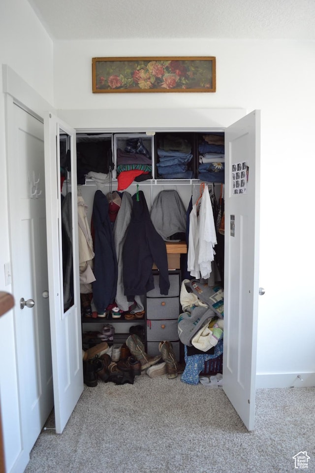 680 N 380 W Unit Z303, Vineyard, UT 84059 - view of closet