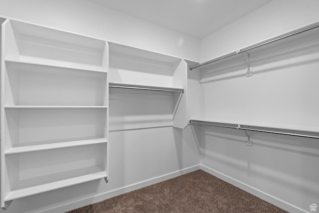 1391 S Padre Bay Dr Unit 4075, Washington, UT 84780 - walk in closet with dark carpet