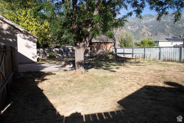 41 W 770 N, Santaquin, UT 84655 - fenced backyard with a mountain view