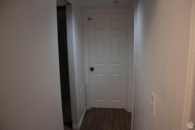 41 W 770 N, Santaquin, UT 84655 - hall with dark wood-style floors