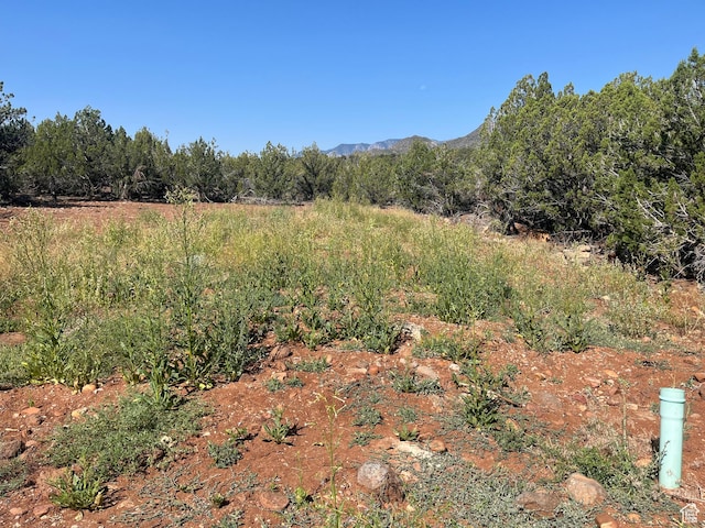 3842 S Canyon Cv Unit 310, New Harmony, UT 84757 - photo 4