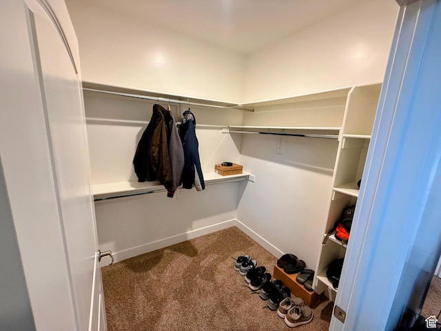 1768 W 300 S Unit D, Springville, UT 84664 - spacious closet with carpet floors