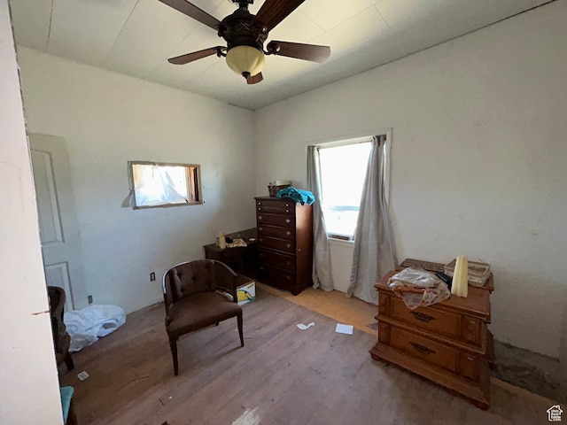 481 Main St, Georgetown, ID 83239 - photo 9