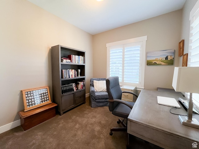 1399 W Plumrose Way S, Taylorsville, UT 84123 - photo 23