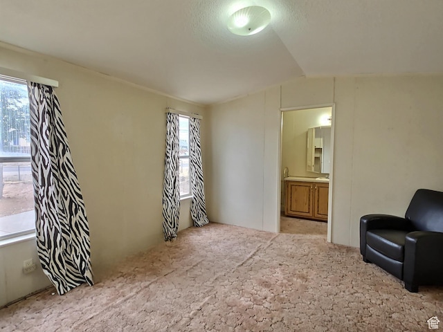 4457 S Vernal Ave S, Vernal, UT 84078 - photo 9