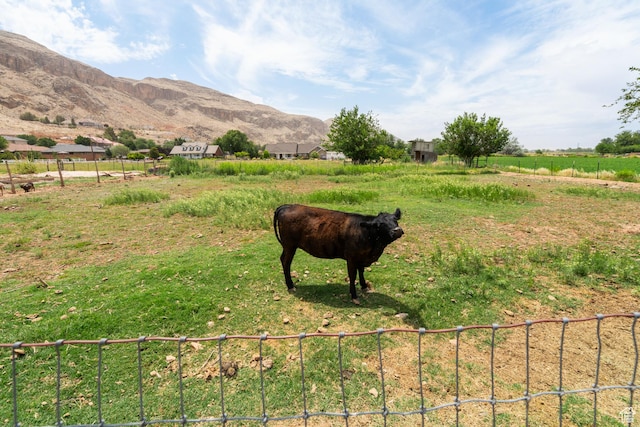 1170 S 180 W, Hurricane, UT 84737 - photo 29