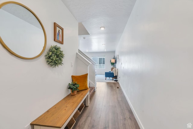 1028 E Jack Dr, Saratoga Springs, UT 84045 - photo 4