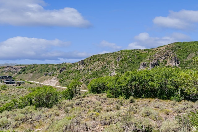 9233 Spotted Owl Ct Unit 26, Park City, UT 84098 - photo 9