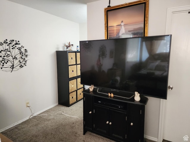 3907 W Rockwood Way S Unit B, West Valley City, UT 84120 - photo 34