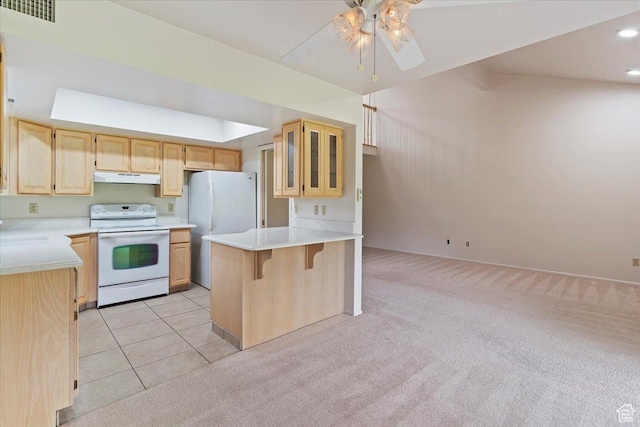 69 White Barn Dr, Pleasant View, UT 84414 - photo 9