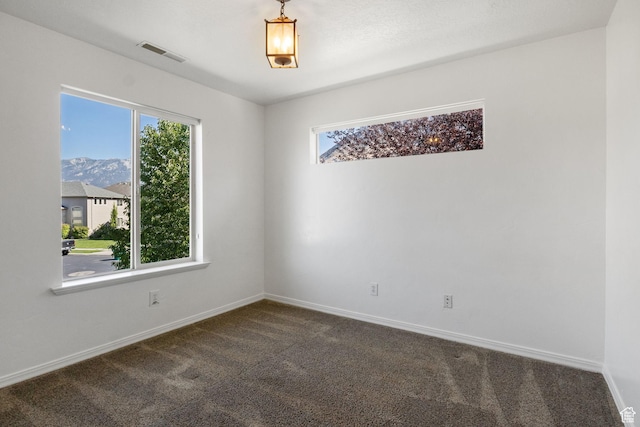 10743 N Shinnecock, Cedar Hills, UT 84062 - photo 40