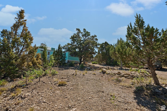 Unit C41, Fairview, UT 84629 - photo 5