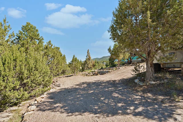Unit C41, Fairview, UT 84629 - photo 6
