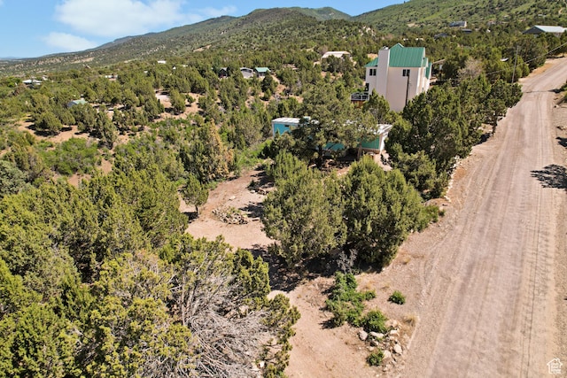 Unit C41, Fairview, UT 84629 - photo 13