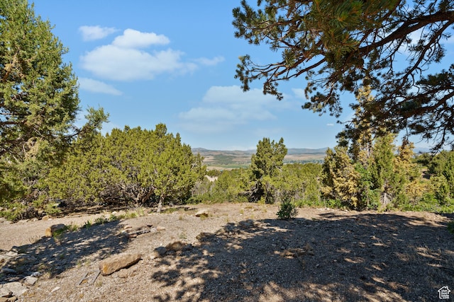 Unit C41, Fairview, UT 84629 - photo 4
