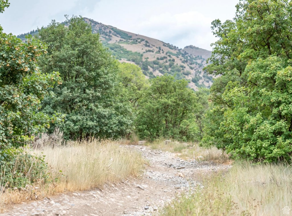 Hyde Park, UT 84318 - photo 3