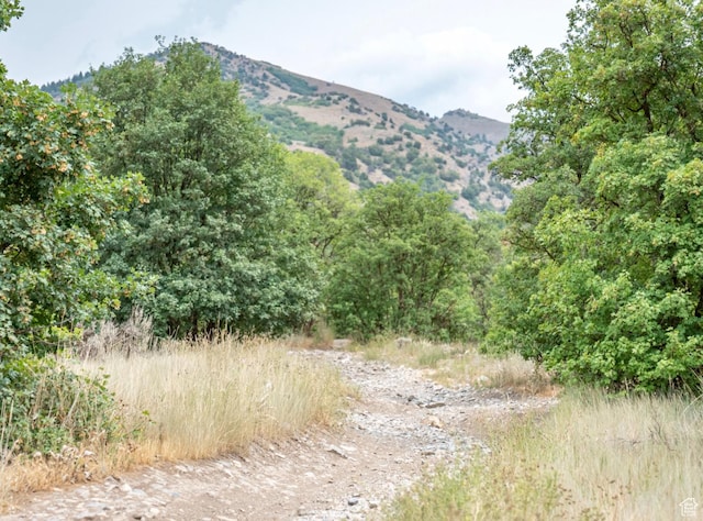 Hyde Park, UT 84318 - photo 3