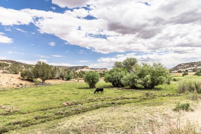 2606 S Lower Boulder Rd, Boulder, UT 84716 - photo 29
