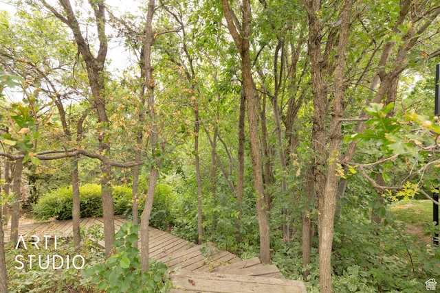 1133 S Via La Costa Way, Kaysville, UT 84037 - photo 30