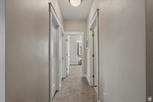10334 S Beetdigger Blvd E, Sandy, UT 84070 - photo 12