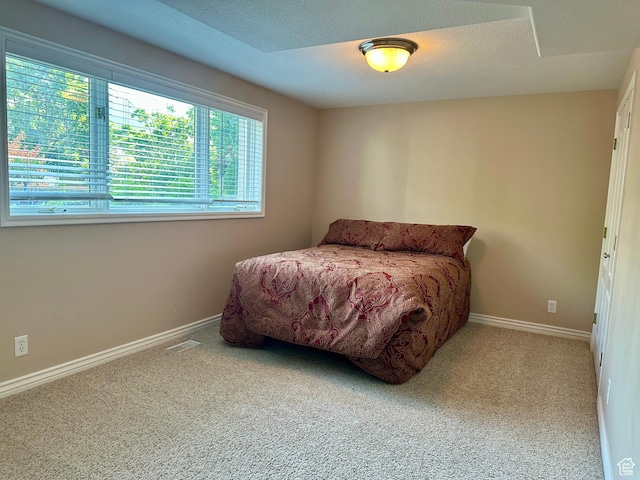 240 N 1480 E, Logan, UT 84321 - photo 44