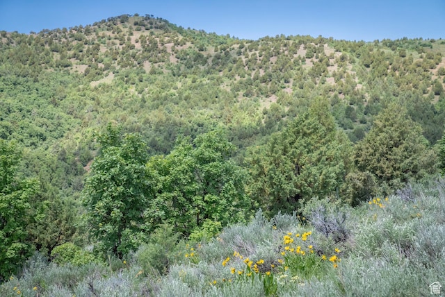 Unit 24, Preston, ID 83263 - photo 25