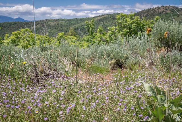 Unit 24, Preston, ID 83263 - photo 51