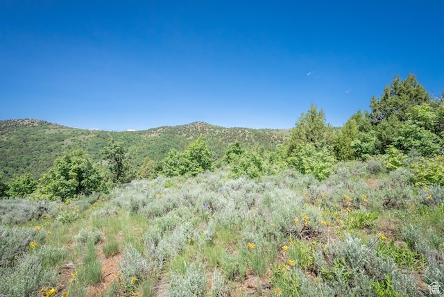Unit 24, Preston, ID 83263 - photo 18