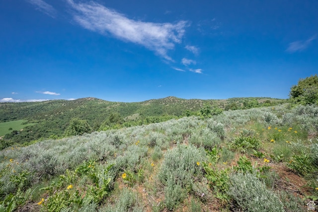 Unit 24, Preston, ID 83263 - photo 42