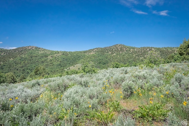 Unit 24, Preston, ID 83263 - photo 44