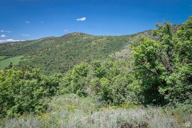 Unit 24, Preston, ID 83263 - photo 32